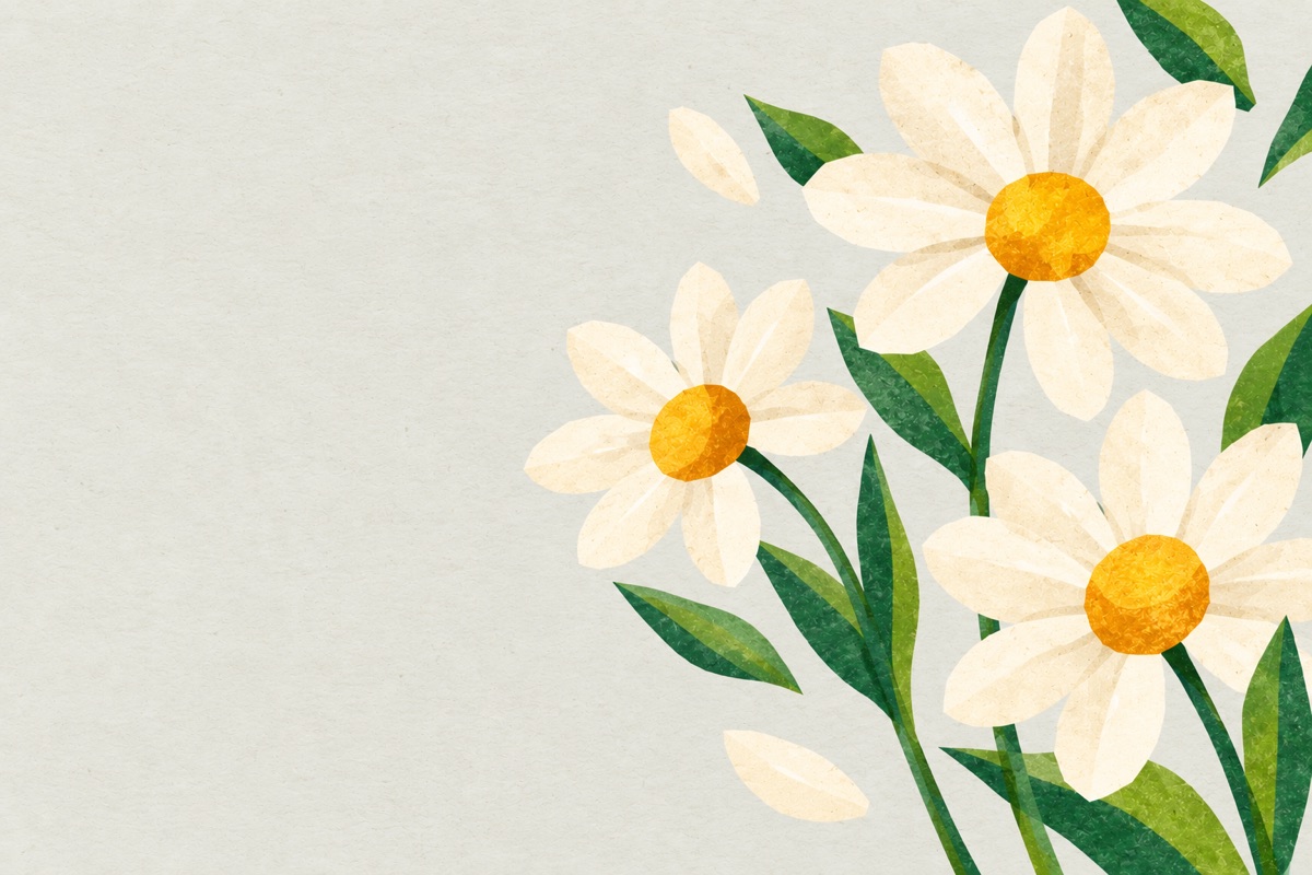 A daisy postcard: daisies on a soft background